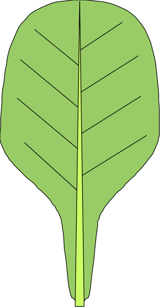 The image shows a green leaf with yellow veins against a black background on the left side of an otherwise gray surface that appears to be made up of small squares forming lines across it from top right corner downwards and towards bottom center, creating diagonal stripes in shades of light brown or tan.