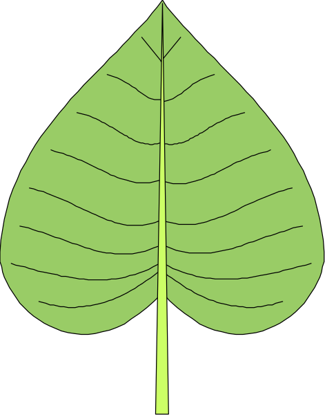The image shows a single leaf with veins highlighted by coloring against a black background.