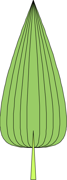 The image shows a green teardrop shape with an outline of leaves on it against a black background.