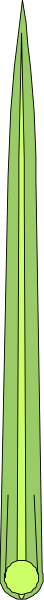 The image shows a simple line drawing of two green dots connected by an arrow pointing to the right on what appears to be a light grey background with no other discernible objects or details present in this small clip-art format.