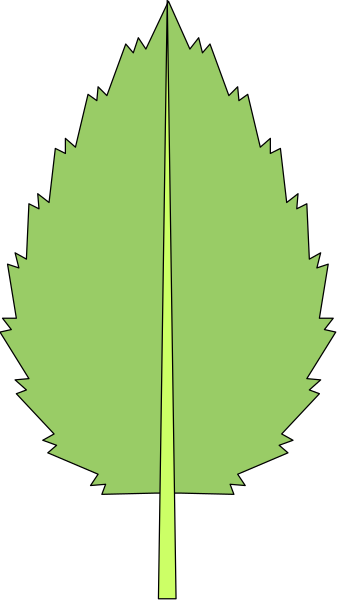 The image shows a stylized representation of an evergreen tree with green needles against a black background on the left side.