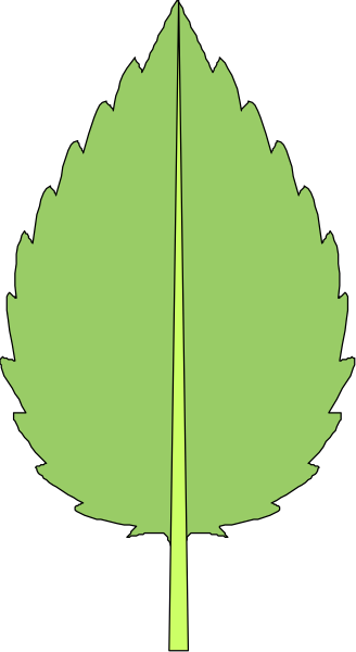 The image shows a stylized leaf with green on top half transitioning to yellow at bottom against a black background.