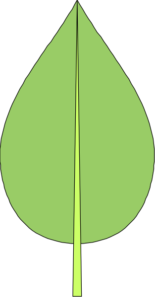 The image shows a green leaf with yellow veins on it against a gray background.