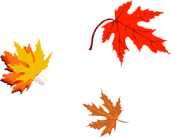 The image shows a collection of autumn leaves with varying shades of reds, yellows, browns, and greens against a black background.