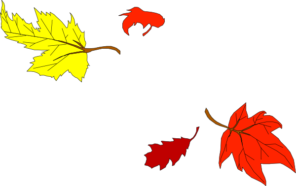 The image shows four red maple leaves against a black background with no other discernible elements present.