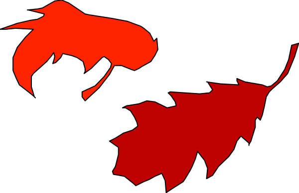 The image shows a red dragon with its wings spread out against a black background.