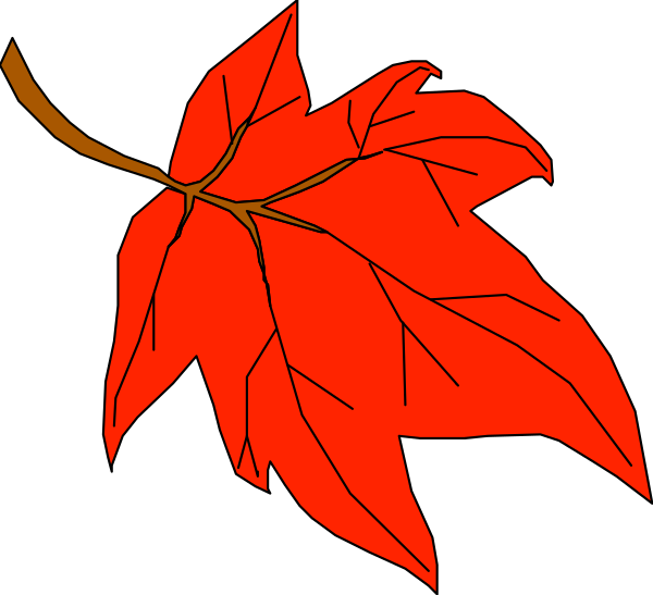The image shows a red maple leaf with veins against a black background.