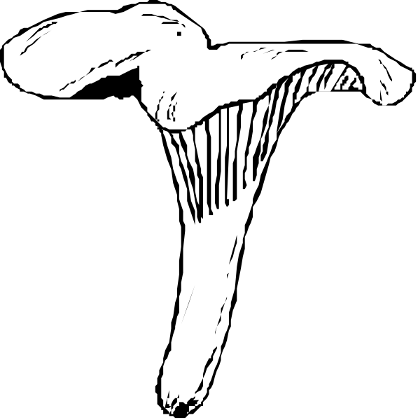 The black and white illustration shows a mushroom with gills on its underside against a dark background.