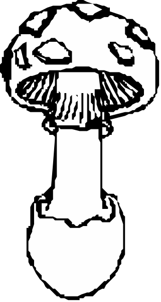 The black and white illustration shows a mushroom with an open cap on top of it against a dark background.