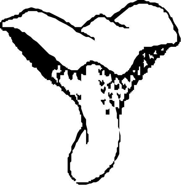 The image shows a black and white illustration of two birds flying over mountains with trees on them against an open sky background.