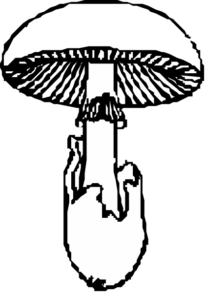 The black and white logo features a mushroom with an open cap on top of it, symbolizing growth and expansion.