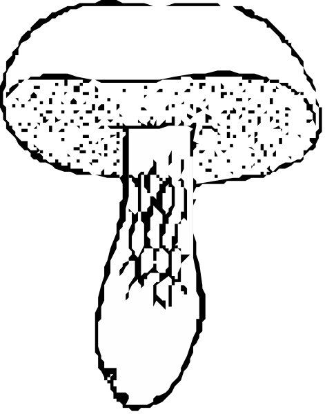 The black and white photo shows a sock with multiple holes on it against a dark background.