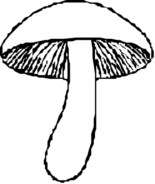 The black and white illustration shows a mushroom with an umbrella on top of it against a dark background.