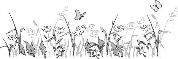 The black and white photo shows a row of flowers with green stems against a dark background.