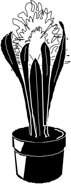 The black and white illustration shows a potted plant with multiple sprouts growing from it inside of what appears to be an ice cream cone-shaped pot on top of another similar container in front of them both, suggesting growth or propagation; there is no text present within this image.
