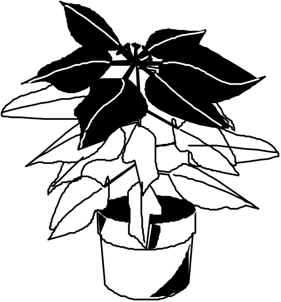 The black and white illustration shows a potted plant with leaves on top of it next to an empty pot that has been watered recently as indicated by droplets around its base; there is no text present in this image, which focuses solely on these two objects without any additional context or background.