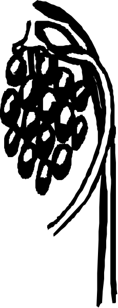 The image shows a black and white photo of an object with multiple holes cut out from it placed on top of another similar but intact item in what appears to be a dark room.