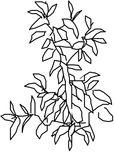 The black and white silhouette of a plant with leaves on it against an unseen background.