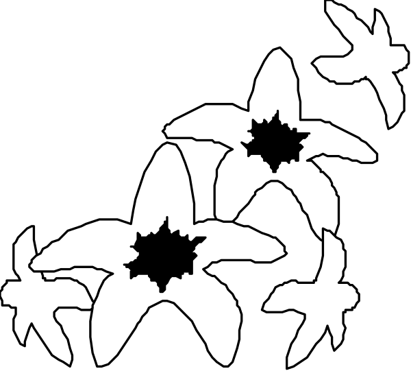 The black and white silhouette of a bouquet with flowers on stems surrounded by butterflies.