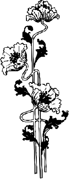 The black and white photo shows a vase with flowers on it placed next to an upright violin case.