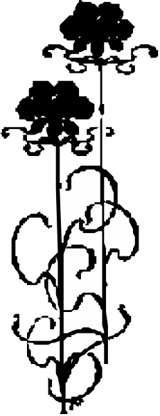 The image shows a black and white photo of an old man's face with his eyes closed on top half against a dark background in bottom half.