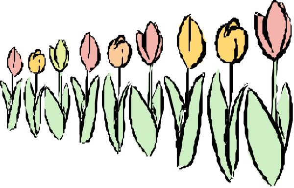 The image shows a row of tulips with different colored petals against a dark background.