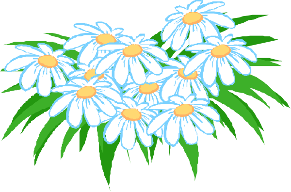 The image shows a bouquet of white daisies with yellow centers on green stems against a black background.
