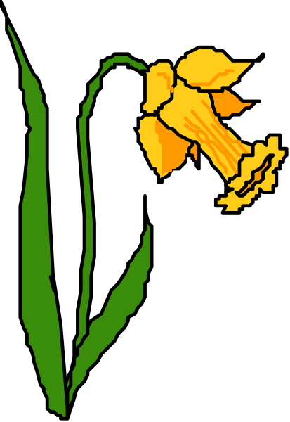 The image shows a stylized illustration of daffodils with green leaves against a black background on top half and yellow flowers in front set against white backdrop below it.