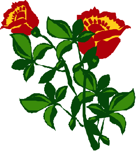The image shows three red flowers with green leaves against a black background.