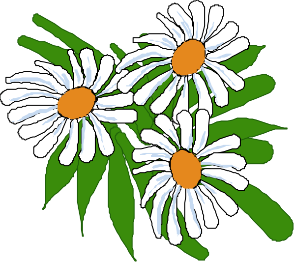 The image shows a bouquet of daisies with green leaves against a black background.