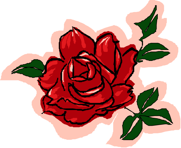 The image shows a red rose with green leaves on it against a white background.