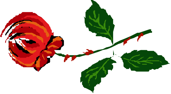 The image shows a rose with red petals surrounded by green leaves on either side of it against a black background.