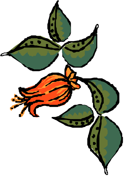 The image shows a stylized illustration of an open book with pages that have leaves on them against a dark background; there is also what appears to be a small red bird perched atop one page, and below it, two green leaf shapes resembling maple keys are visible in the lower right corner.