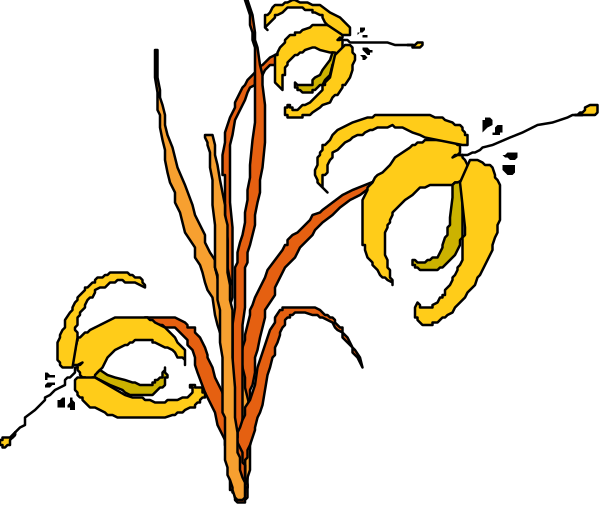 The image shows a stylized illustration of flowers with yellow centers against an orange background on what appears to be a black surface.