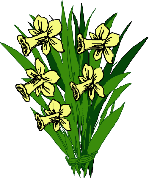 The illustration shows a bouquet of yellow flowers with green leaves against a black background.