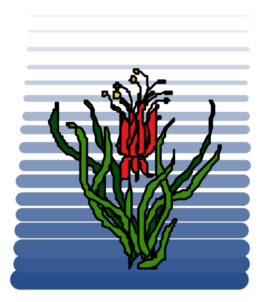 The image shows a stylized depiction of an aquatic plant with red flowers on top floating above water under what appears to be blue sky background.
