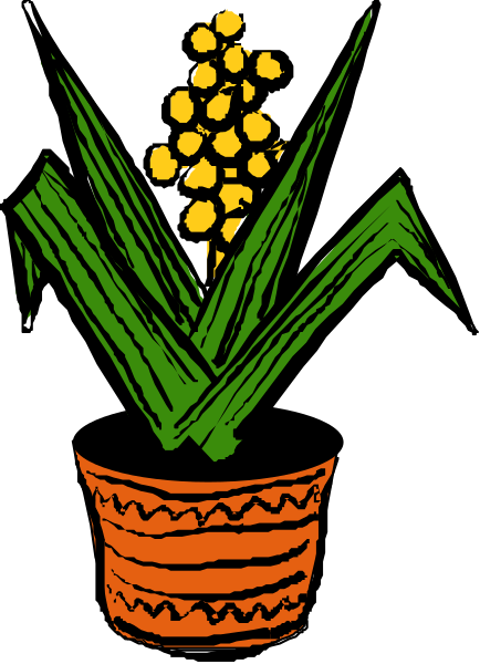 The picture shows a potted plant with corn on it against an orange background.