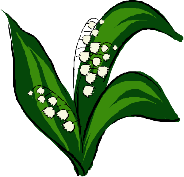 The image shows a stylized illustration of an open green flower with white buds at its center surrounded by small leaves on either side against a dark background.