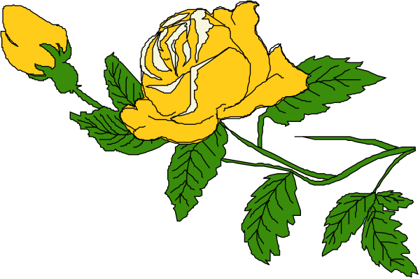 The image shows a single yellow rose with green leaves on it against a black background.