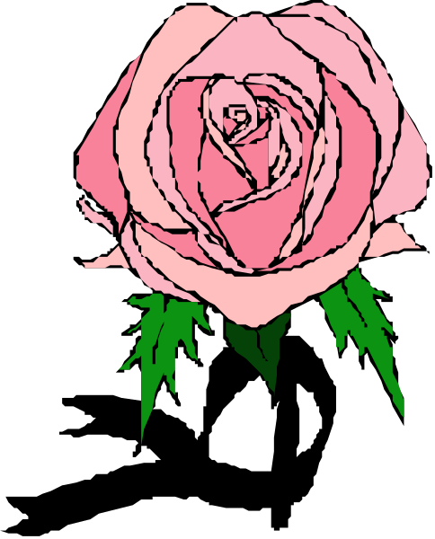 The image shows a pink rose with green leaves on it against a black background.