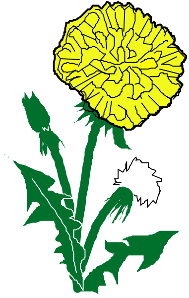 The image shows a yellow flower with green leaves on it against a black background.