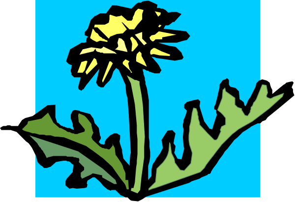 The image shows a cartoon of an open yellow flower with green leaves on top against a blue background at bottom right corner.