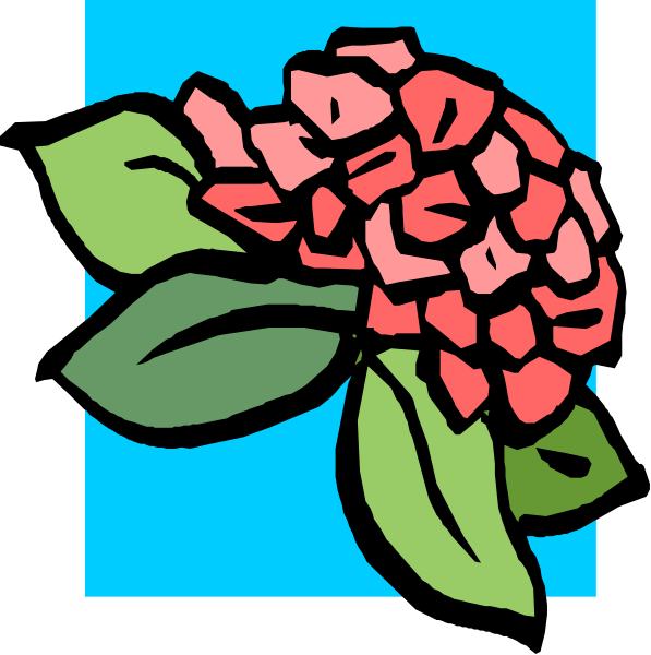 The image shows a stylized red flower with green leaves on it against a blue background.