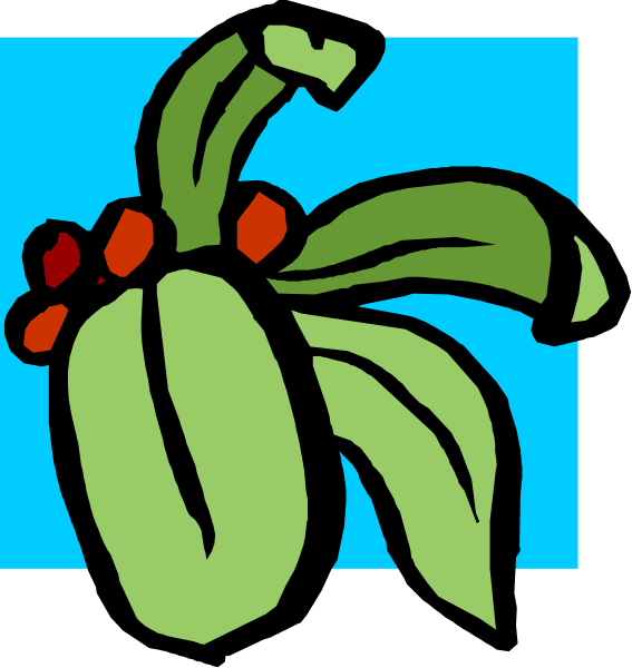 The images show a cartoon of two different flowers with leaves: on top is an illustration featuring red berries atop green foliage; below it is another drawing depicting a flower in full bloom, also adorned by red and yellow elements that resemble fruit or seeds.
