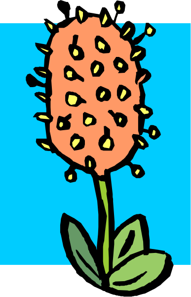 The image shows a cartoon of an orange flower with yellow seeds on top against a blue background.