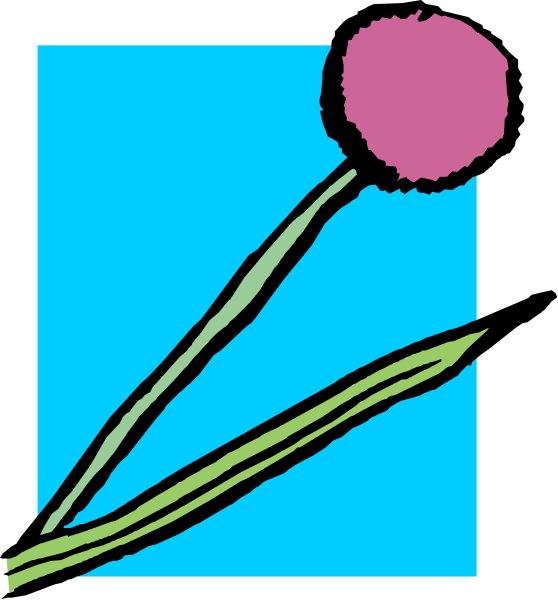 The image shows a blue square with two pink flowers on it against a white background; there is also an illustration of green leaves to one side in black ink.