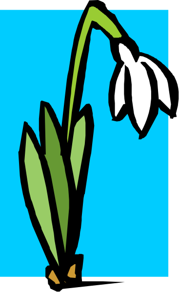 The image shows a single bluebell flower with green leaves against an open sky background.