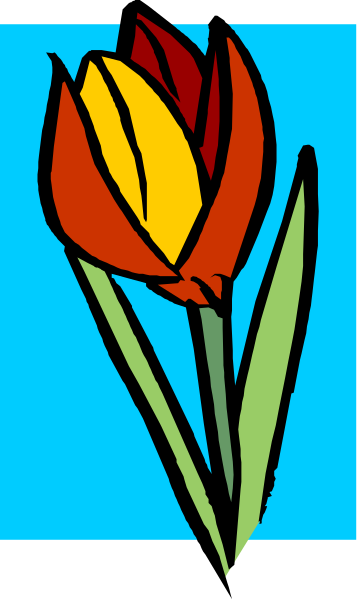 The image shows a stylized illustration of an orange tulip with red tips on top of green leaves against a blue background.