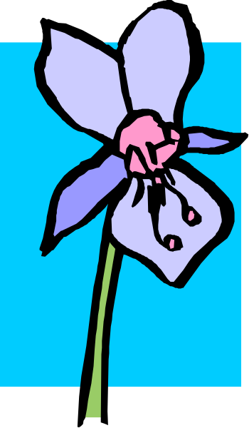 The image shows a blue flower with pink petals on it against a light background.