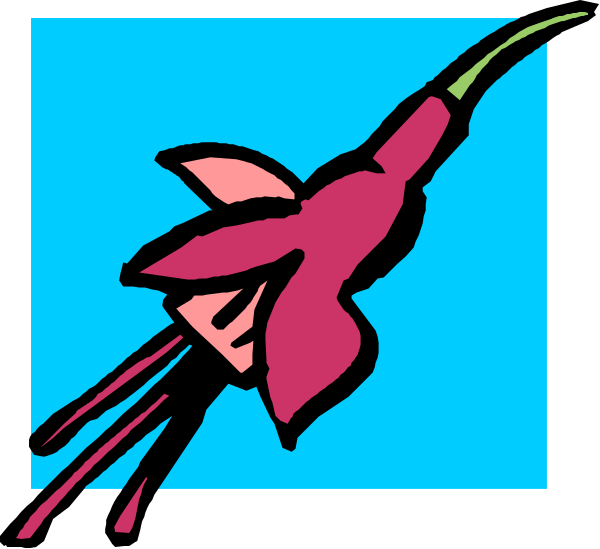 The image shows a pink flower with green leaves on top of it against a blue background.